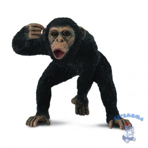 Фигурка Шимпанзе самец